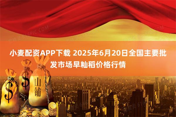 小麦配资APP下载 2025年6月20日全国主要批发市场早籼稻价格行情