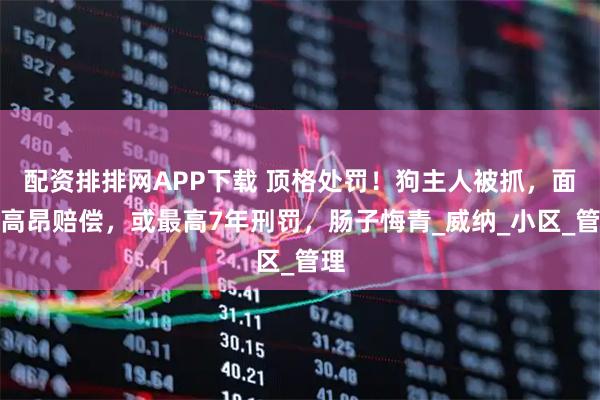 配资排排网APP下载 顶格处罚！狗主人被抓，面临高昂赔偿，或最高7年刑罚，肠子悔青_威纳_小区_管理