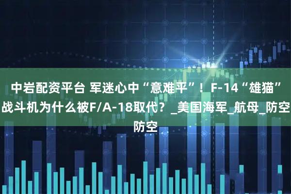 中岩配资平台 军迷心中“意难平”！F-14“雄猫”战斗机为什么被F/A-18取代？_美国海军_航母_防空