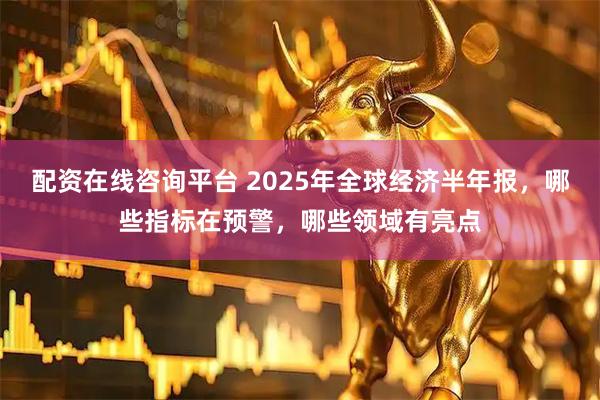 配资在线咨询平台 2025年全球经济半年报，哪些指标在预警，哪些领域有亮点