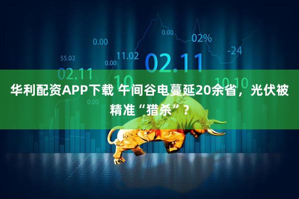 华利配资APP下载 午间谷电蔓延20余省，光伏被精准“猎杀”？