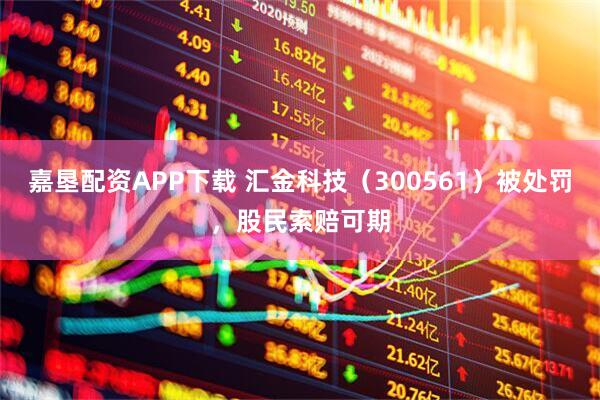 嘉垦配资APP下载 汇金科技（300561）被处罚，股民索赔可期